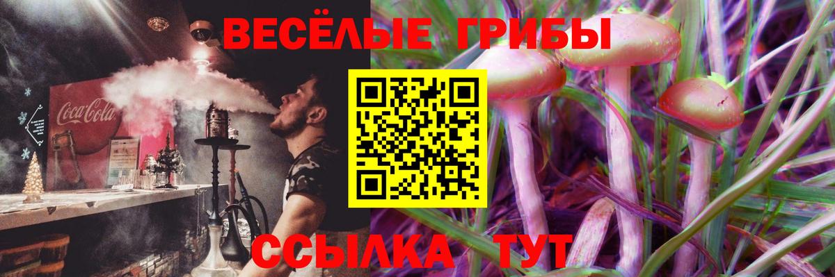 Галлюциногенные грибы MAGIC MUSHROOMS  где купить   Вход с VPN  Костомукша  Псилоцибиновые грибы ЛСД 