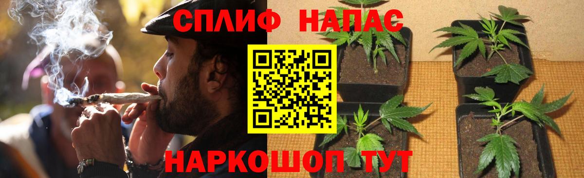 Бошки Шишки семена Костомукша